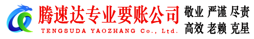 泰州清债公司